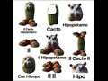 Differents Of With Il Cacto Hipopotamo Differents Of With Il Cacto Hipopotamo