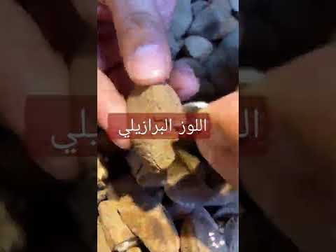 اللوز البرازيلي