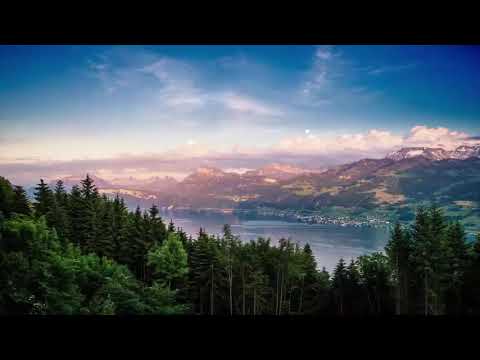 تلاوة عذبة خاشعه رائد مفكر صوت ملائكي 