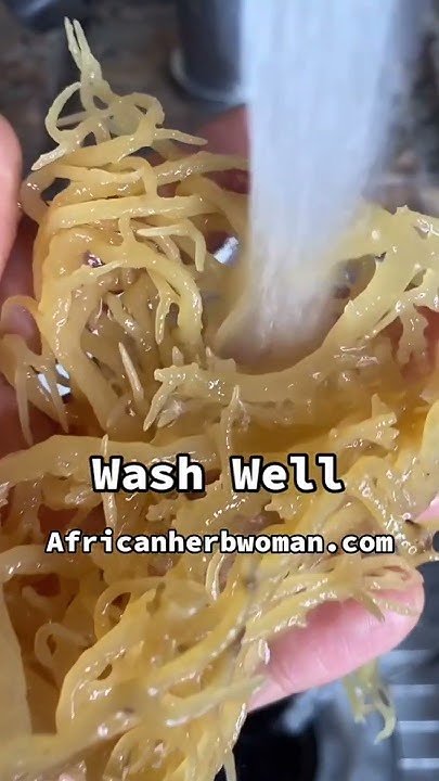 make-raw-sea-moss-gel-at-home-fok-youtube