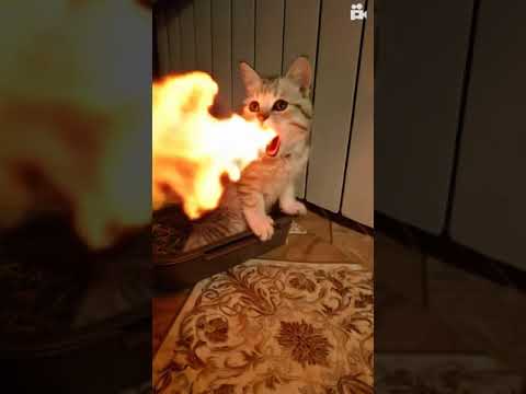 Огонь из рта