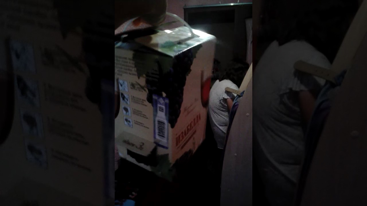 Переноска для шиншиллы