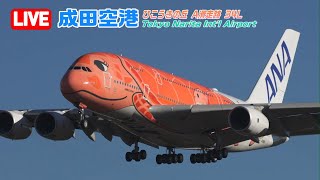 【LIVE】2025/11/23 Tokyo NARITA Int'l Airport Plane Spotting 成田空港ライブカメ