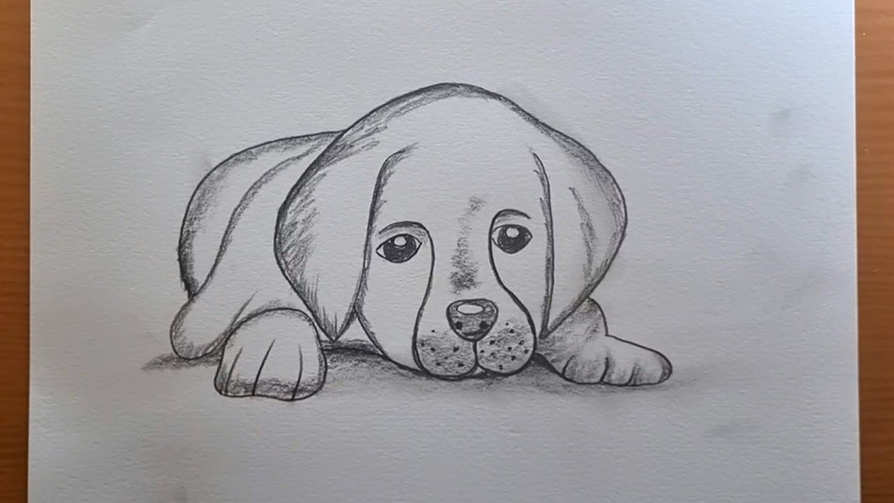 Como desenhar um cachorro fácil | desenhos de animais com lápis ...