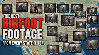 The Best Bigfoot Footage from Every State in America (ep. 1)
Here is the best bigfoot footage from every single state in America. So I took it upon myself to scour the internet, and put together this special, state by state bigfoot video for you guys. So today we’ll take a look at only the clearest and most convincing bigfoot sighting from each state in America. I really took my time to find the best bigfoot footage, and some of it is exclusive footage that you’ve never seen before. We’ll do a deep dive on each piece of evidence, I’ll analyze the footage and give as much background information as I can find, and together we’ll decide if they’re real or fake. These sightings range from HD sasquatch trail camera videos, to bigfoot hunting clips, and so much more. So, grab your I found bigfoot coffee mugs and allow your fear to be maximized as we explore, the best bigfoot clips from every state in America ep.1.
The Best Bigfoot Footage from Every State in America (ep. 1)
2nd Channel: @MoreMaximumFear
NEW BIGFOOT Maximum Fear Merchandise: https://maximumfear.myspreadshop.com/
~ Maximum Fear :) The Best Bigfoot Footage from Every State in America (ep. 1)