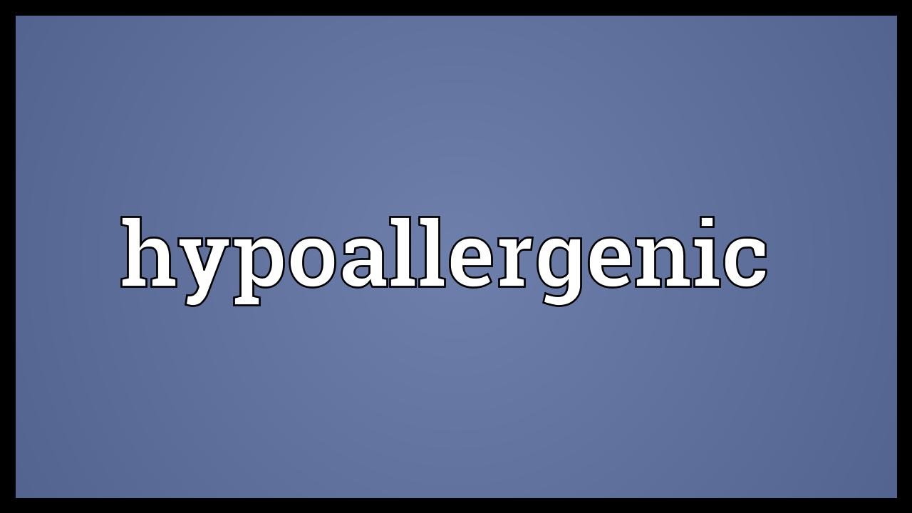 Hypoallergenic Meaning YouTube