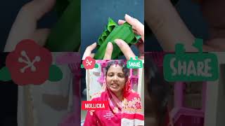 পত দয অসধরণ ফলর ডজইন