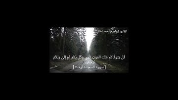 تلاوة فاقت الوصف من سورة السجدة #قرآن