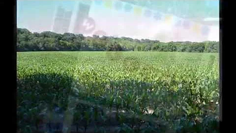 Sellner Family Reunion video