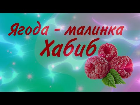 Звуковой разбор слова ягода. Фонетический разбор слова ягодка. Ягодка разбор. Разбор слова ягода. Ягодка разбор.