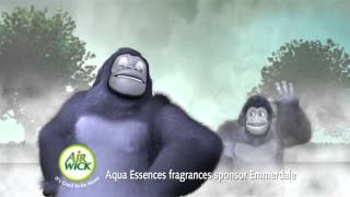 Airwick Morning Mist 2009 Uk