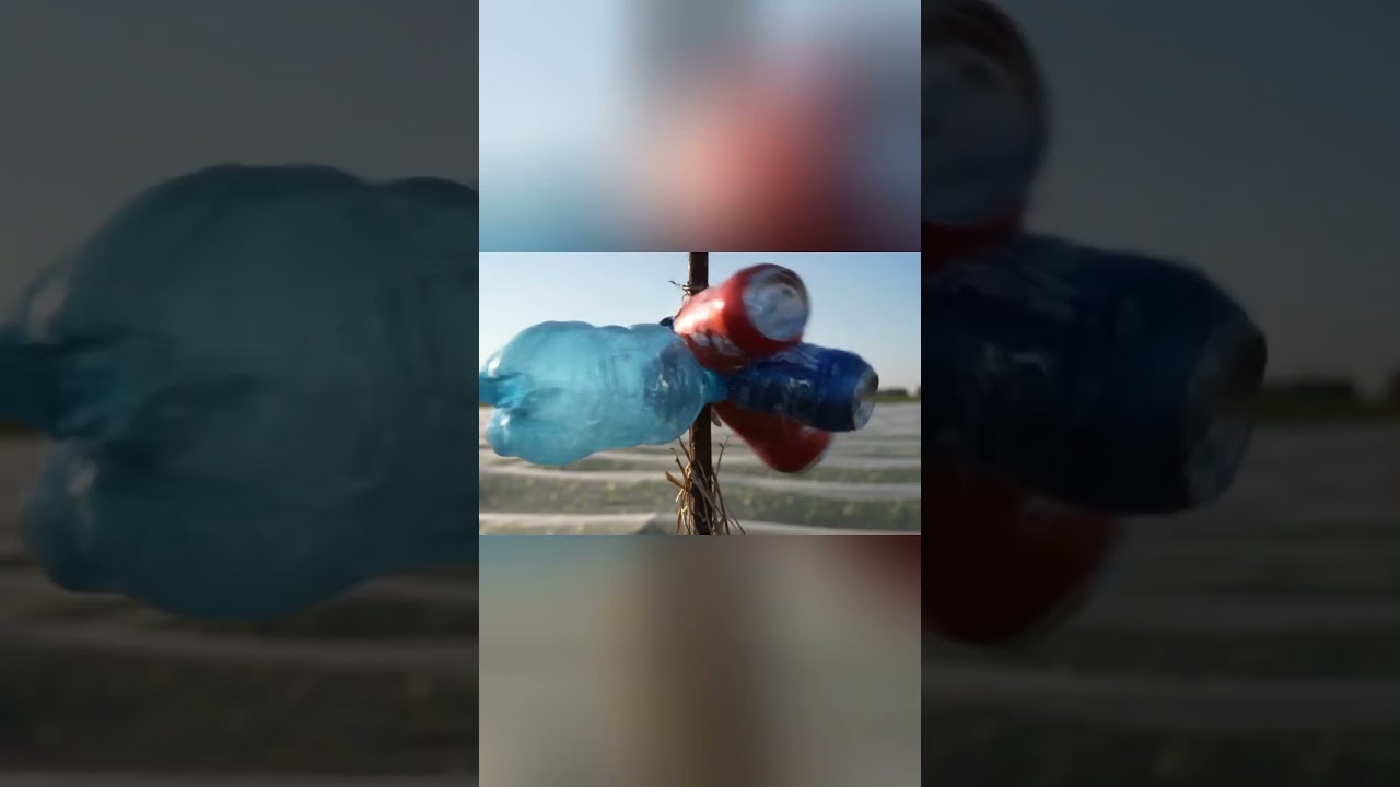 Bird repellant tools to destroy crops.