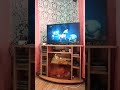 Миньоны по СТС бета версия ESCAPE