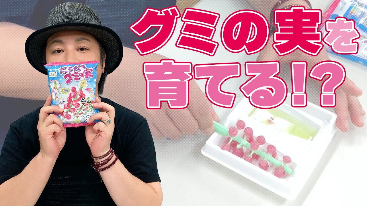 図工「水と粉だけでグミが大きく育っちゃう!?【なるなるグミの実