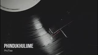 Pro-Tee - Phindukhulume (Izono zami)[Original-Mix]