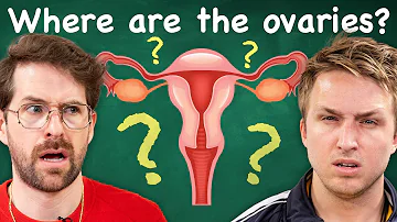 Do Men Know Reproductive Anatomy?