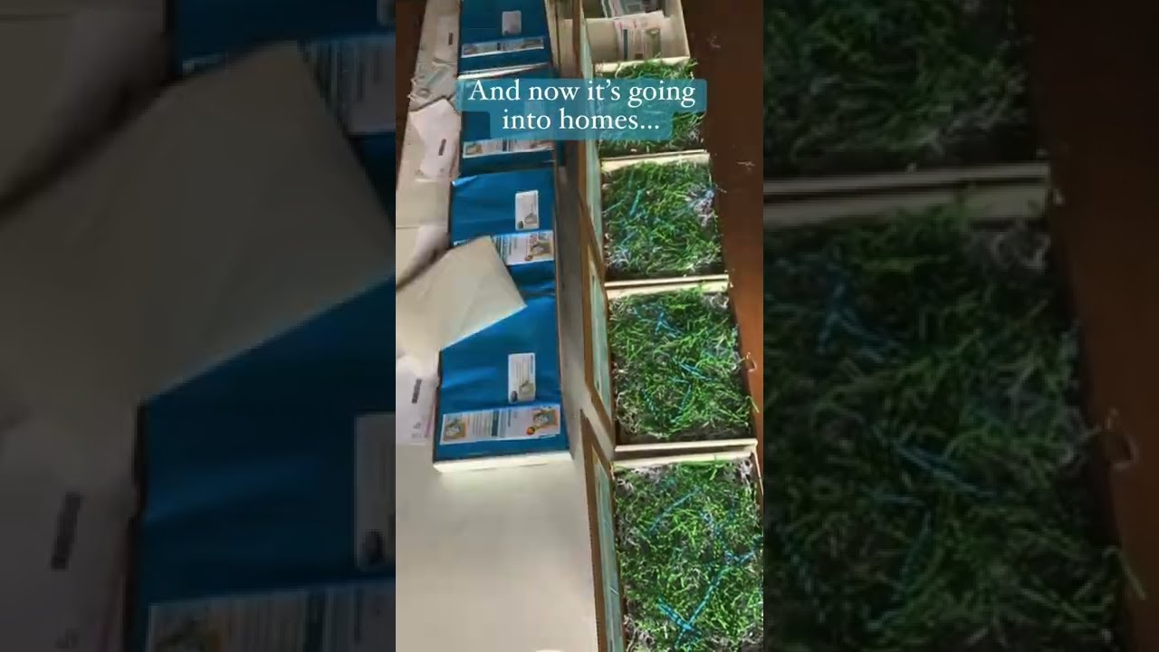 Turning art appreciation dreams into reality: Our Kids’ Art Tour Journey