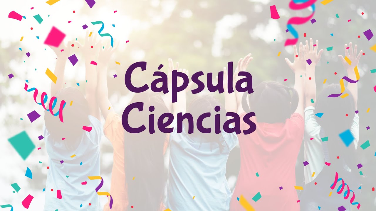 Ciencias | 1° Básico | Fase 3 | Cápsula 3
