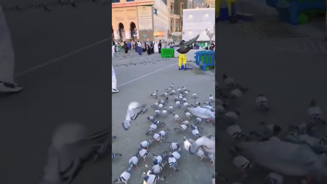 Heart touching naat Sharif viral video 