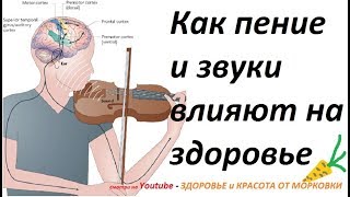 Как пение и звуки влияют на здоровье 2018 Как пение и звуки влияют на здоровье 2018