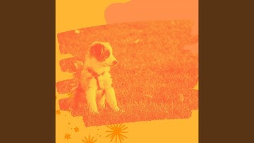 Sensational Backdrops for Rescue Puppies