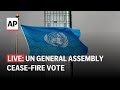 UN General Assembly LIVE: Vote on Gaza cease-fire resolution