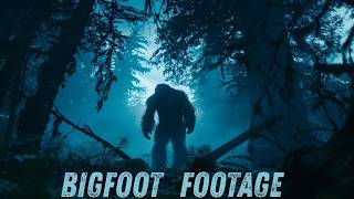 7 Bigfoot Encounters Caught on Camera Unexplained Footage
