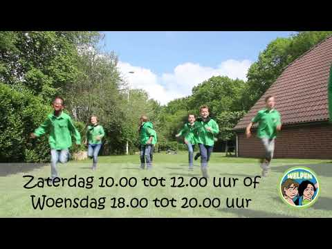 De welpen zoeken