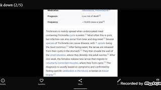 Part 2 The difference between knowing and understanding