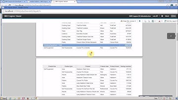 What is Page Set IBM Cognos 10 Report Studio
