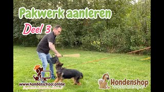 IGP Pakwerk aanleren deel 3 by Edwin Frakking 2,393 views 11 months ago 14 minutes, 22 seconds