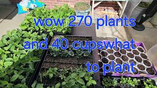 Plants need bigger pots by Joanne's Hummers 33 views 1 month ago 1 minute, 11 seconds