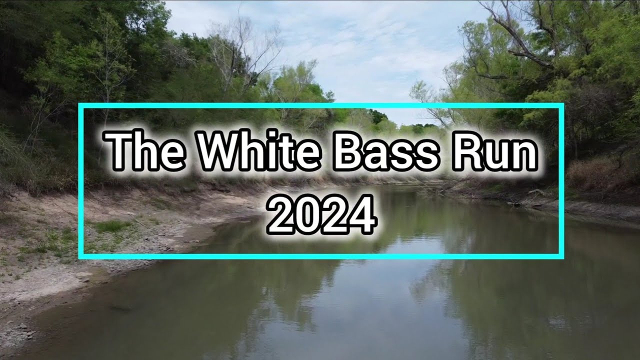 Fishing For the Infomis White Bass #whitebassfishing
