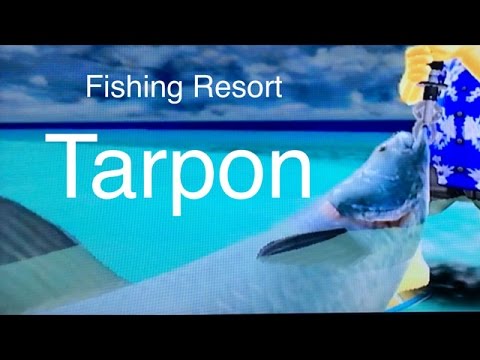 Let's Play: Fishing Resort Wii, Tarpon 