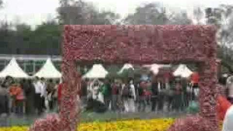 nike  ardila___sendiri