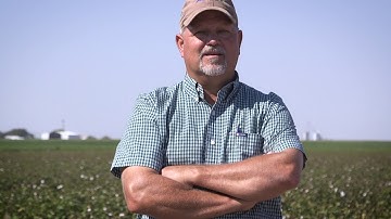 The answer to reniform nematodes in cotton