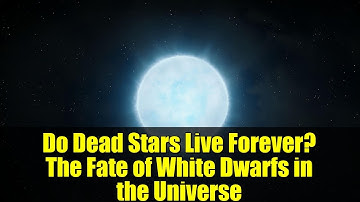 Do Dead Stars Live Forever? The Fate of White Dwarfs in the Universe