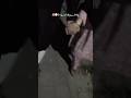 #music#song#love#bollywood#viral#trending#2025#fyp#jhol#dance#account#indiansong#ishq#night#romantic