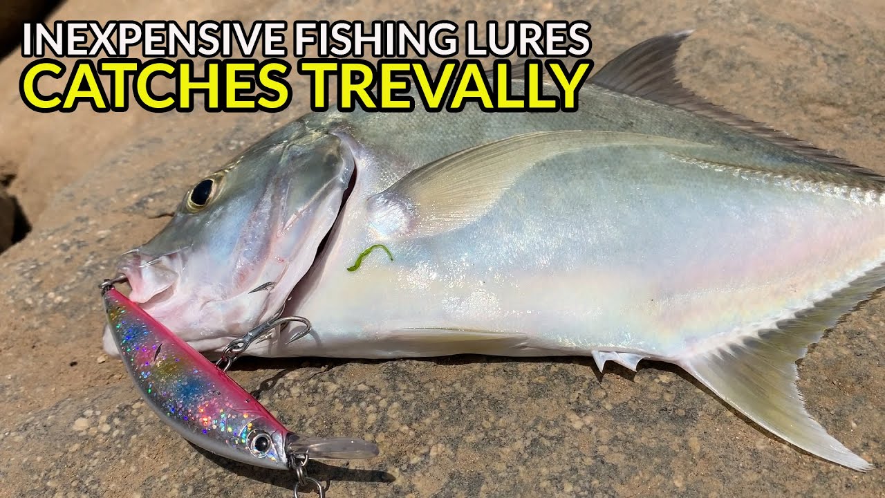 EP34 - Cheap Lures Catches Trevally