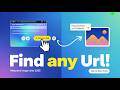 How to Find the URL