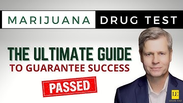 The ULTIMATE Marijuana Drug Test Video | Pass a Marijuana Drug Test & Remove of THC