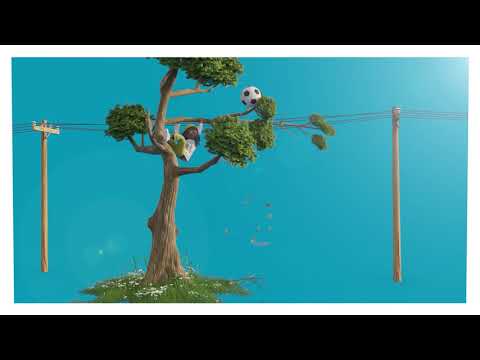 Ausgrid tree trimming full version