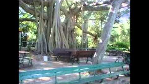 Put Your Thinking Caps On!