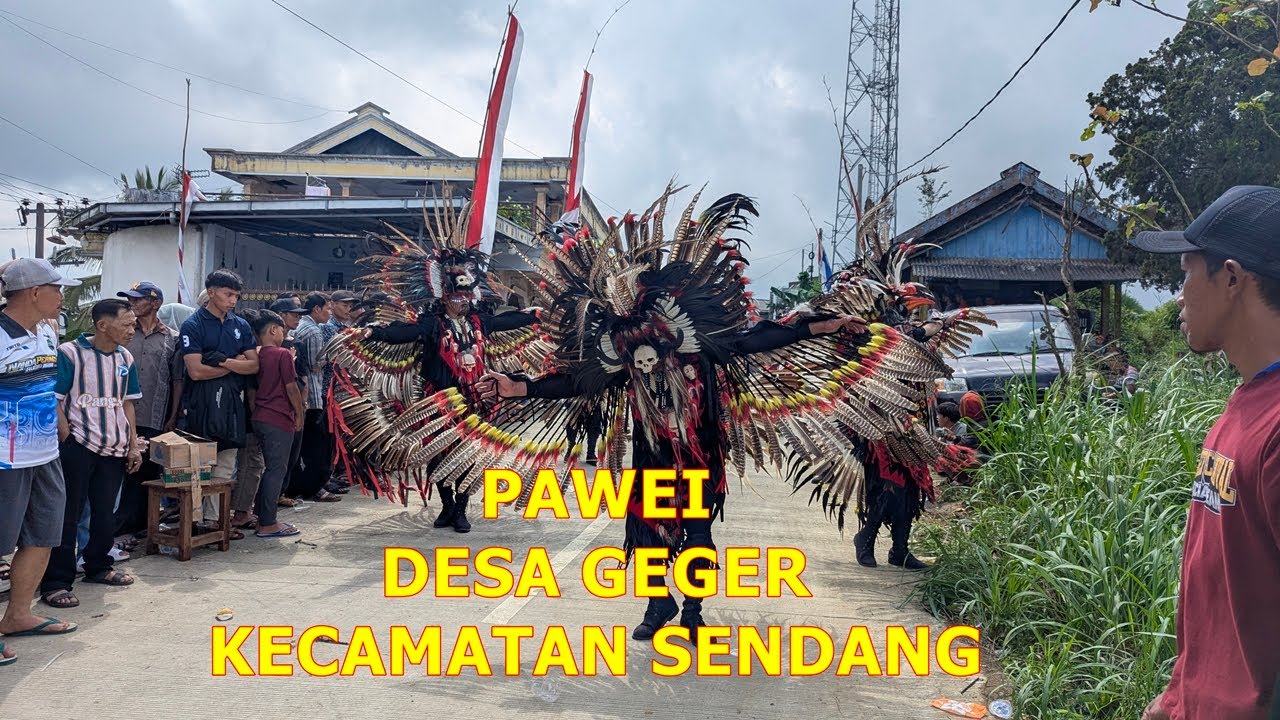 SEMARAK PAWEI DESA GEGER KECAMATAN SENDANG
