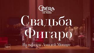 Onp: Свадьба Фигаро В Кино | Парижская Национальная Опера 2021-22