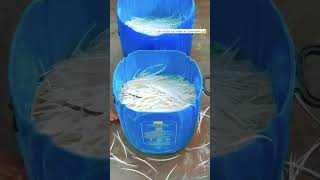 Italians Vs Gelato Waste