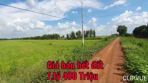 Bán Đất Rộng Giá 68.Triệu/1000m2 Tại huyện Tân Hưng Long An |Nhà đất Đồng Tháp