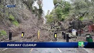 Tree topples on man near Fair Oaks Bridge, retired nurse jumps into action