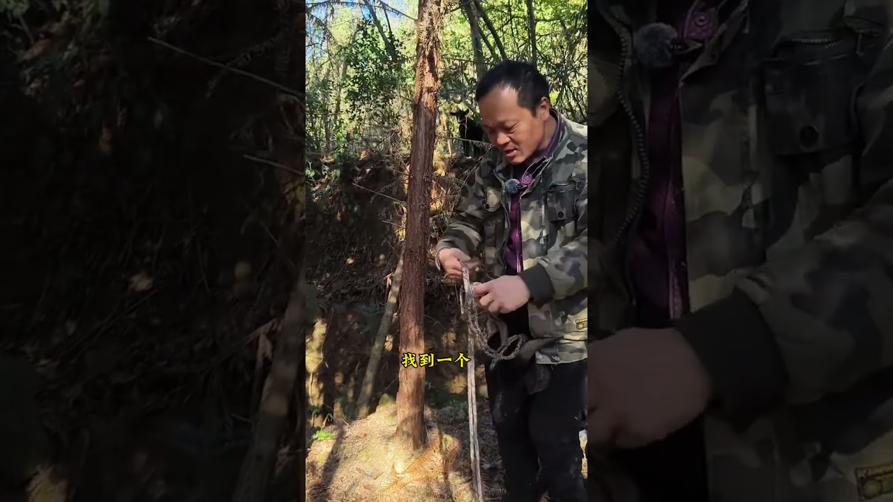 放弃可以有一万个理由，坚持只需要一个信念#黑山羊养殖 #养殖人 #生态放养 #抖音助农 #养殖人加油