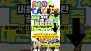 강아지해외운송 대형견해외운송 맹견해외운송 우드켄넬 메탈켄넬 제작 특허등록 2024 #shorts 크레이트 우드켄넬 #바리켄넬 #자이언트켄넬 #강아지해외수송 #맹견해외수송 #dog
